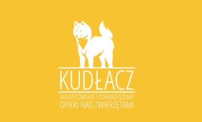 kudlacz