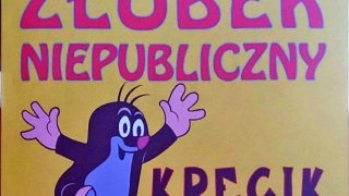 1 czerwca 2021 r. mija pierwsza rocznica istnienia Ośrodka Wsparcia Ekonomii Społecznej w Suwałkach